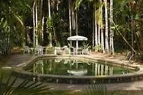 Hotel Rainforest Grove